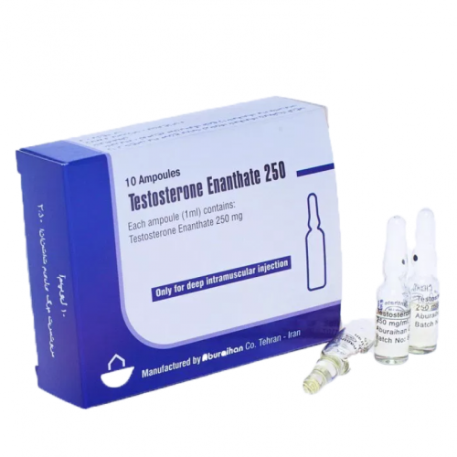Testosterone Enanthate 250 Testosterone Enanthate 250