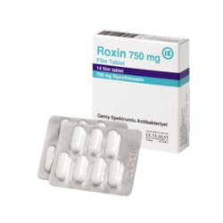 Roxin 750 Roxin 750