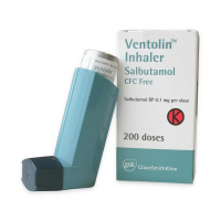 Ventolin Inhaler Ventolin Inhaler