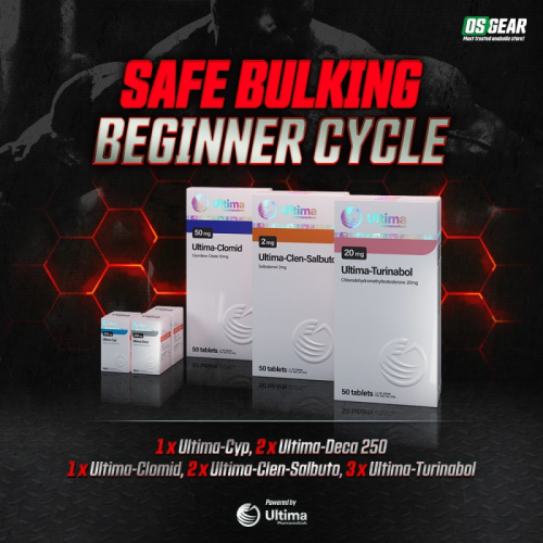 Safe Bulking Beginner Cycle Safe Bulking Beginner Cycle