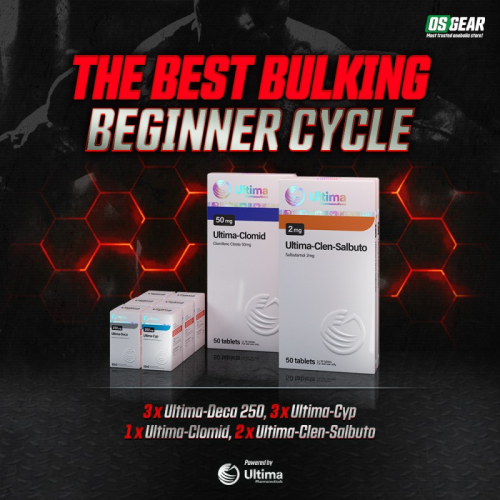 The Best Bulking Beginner Cycle The Best Bulking Beginner Cycle