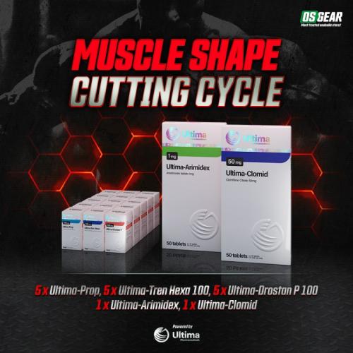 Muscle Shape Cutting Cycle Muscle Shape Cutting Cycle