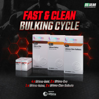 Fast & Clean Bulking Cycle Fast & Clean Bulking Cycle